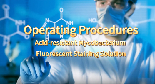 Procedure for using acid-fast mycobacterium fluorescent staining reagent