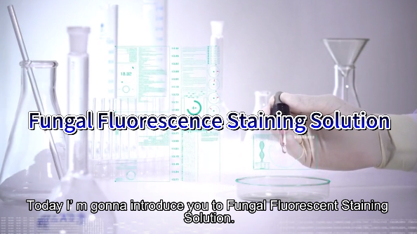Fungal Fluorescent Staining Solution