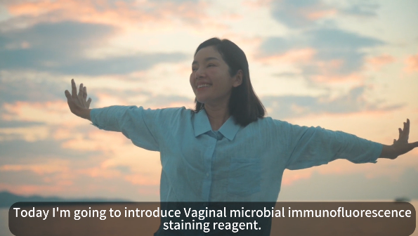 Vaginal microbial immunofluorescence staining reagent